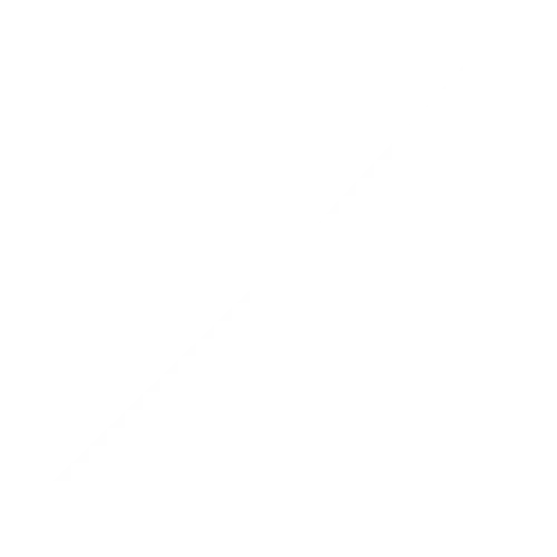 Michel Thomaz logo